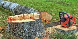 Best Lawn Maintenance Plans  in Taylors Falls, MN