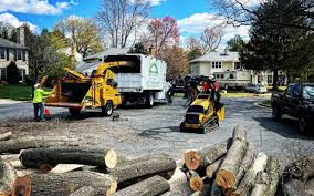 Best Aeration Services  in Taylors Falls, MN