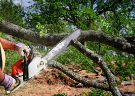 Seasonal Cleanup (Spring/Fall) in Taylors Falls, MN